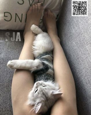 一个好妈妈1_普通话在线观看