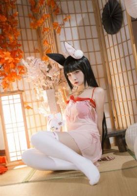 美女一级毛片免费观看_BD国语在线观看高清