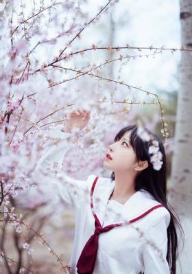 麻豆视传媒官网免费观看_BT种子搜索
